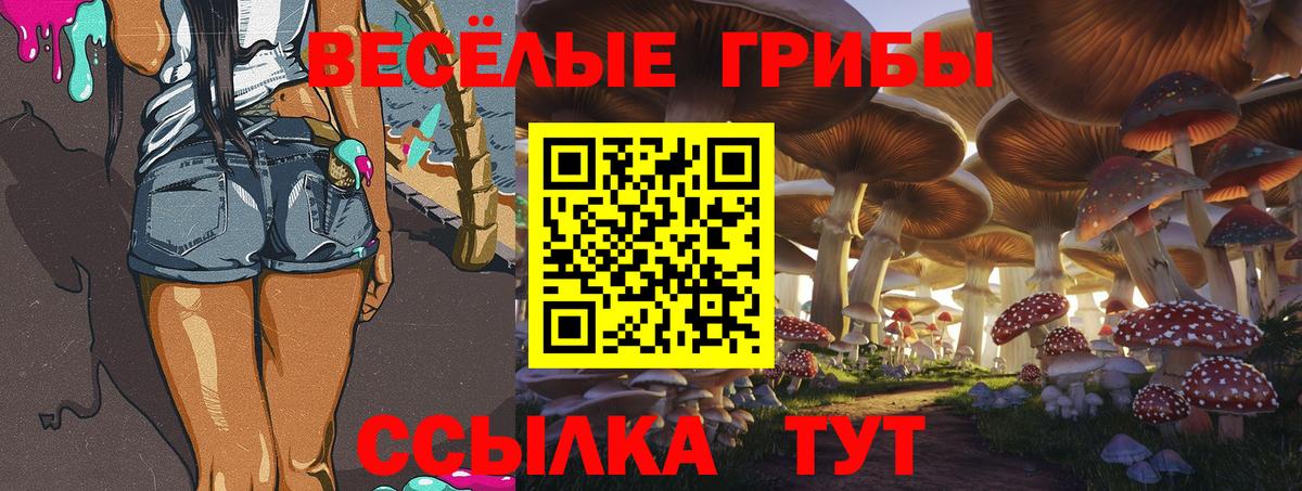 Псилоцибиновые грибы мицелий  Галлюциногенные грибы мухоморы  Вход с VPN  цена   Моздок 