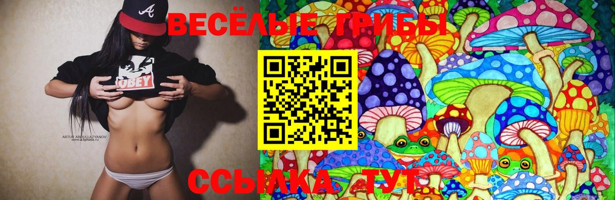 Галлюциногенные грибы мухоморы Моздок